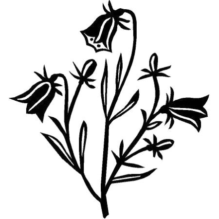 Trykkblokk, Blomst Blåklokke