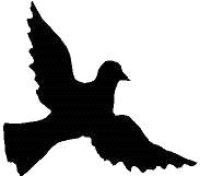 Trykkloss, Fugl 12 høyre