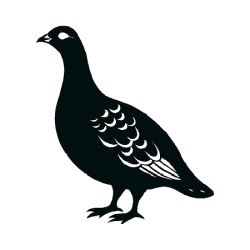 Rype 3, stor venstre