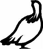 Trykkloss,rype,høyre,stor